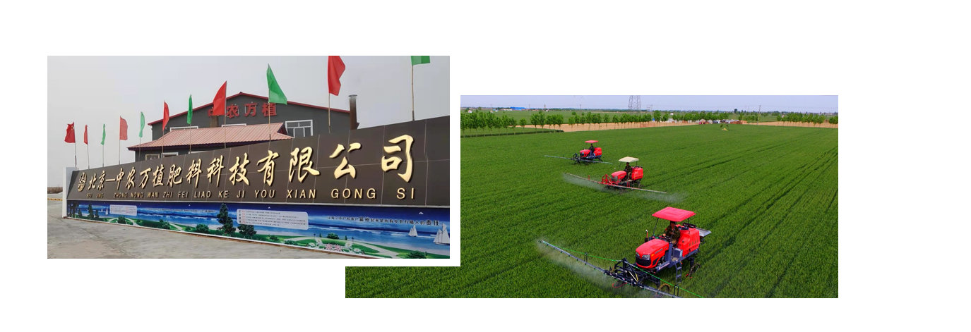 1646203136415333.png 121212.png